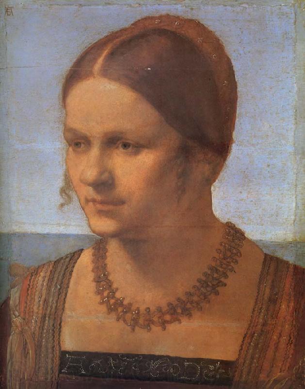 Albrecht Durer A Venetian lady Germany oil painting art